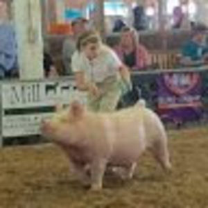 Meet your Posher, Megan quimby